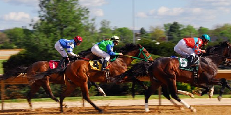 Horse Race Betting Online In India